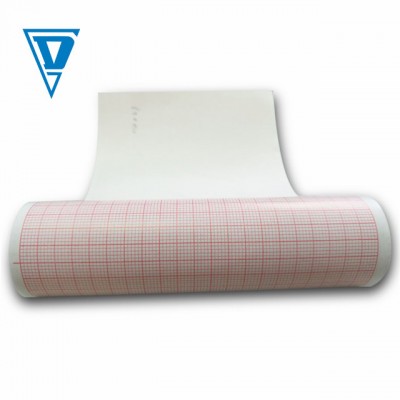 thermal roll and high quality ecg chart paper